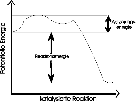Katalyse