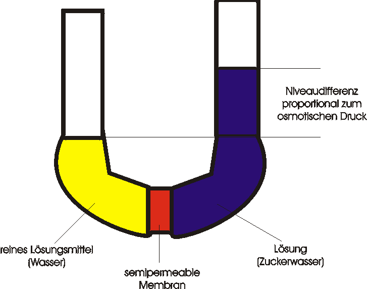 Osmose