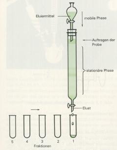 Sulen-Chromatographie